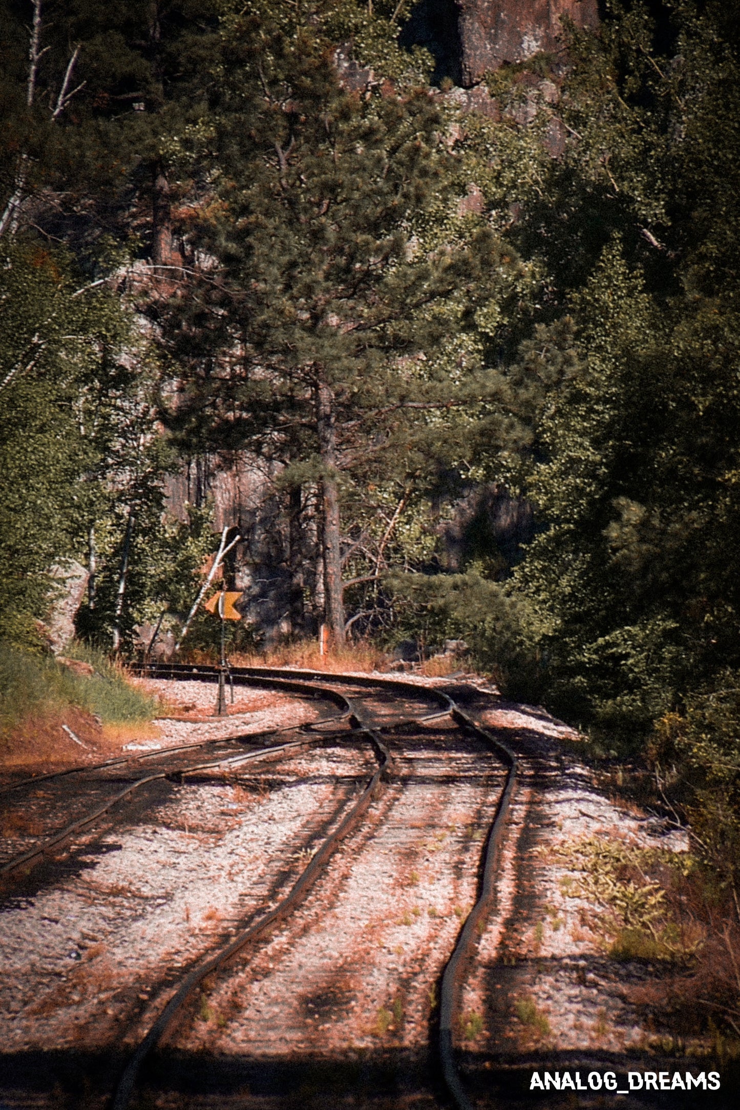 Digicam Futurism - Adobe Lightroom & Capture One Preset Pack