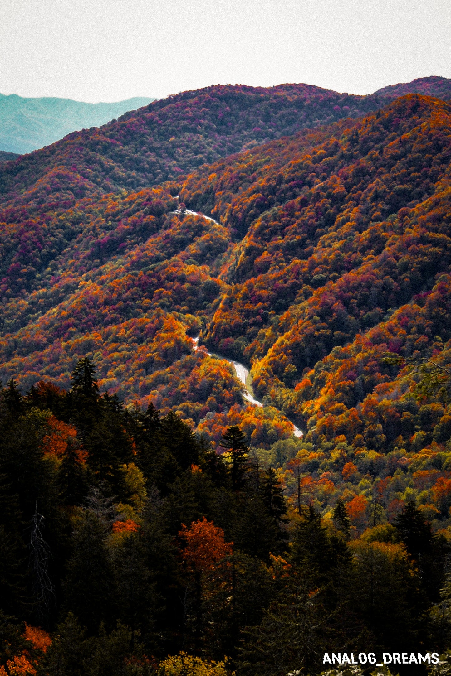 Digicam Futurism - Adobe Lightroom & Capture One Preset Pack