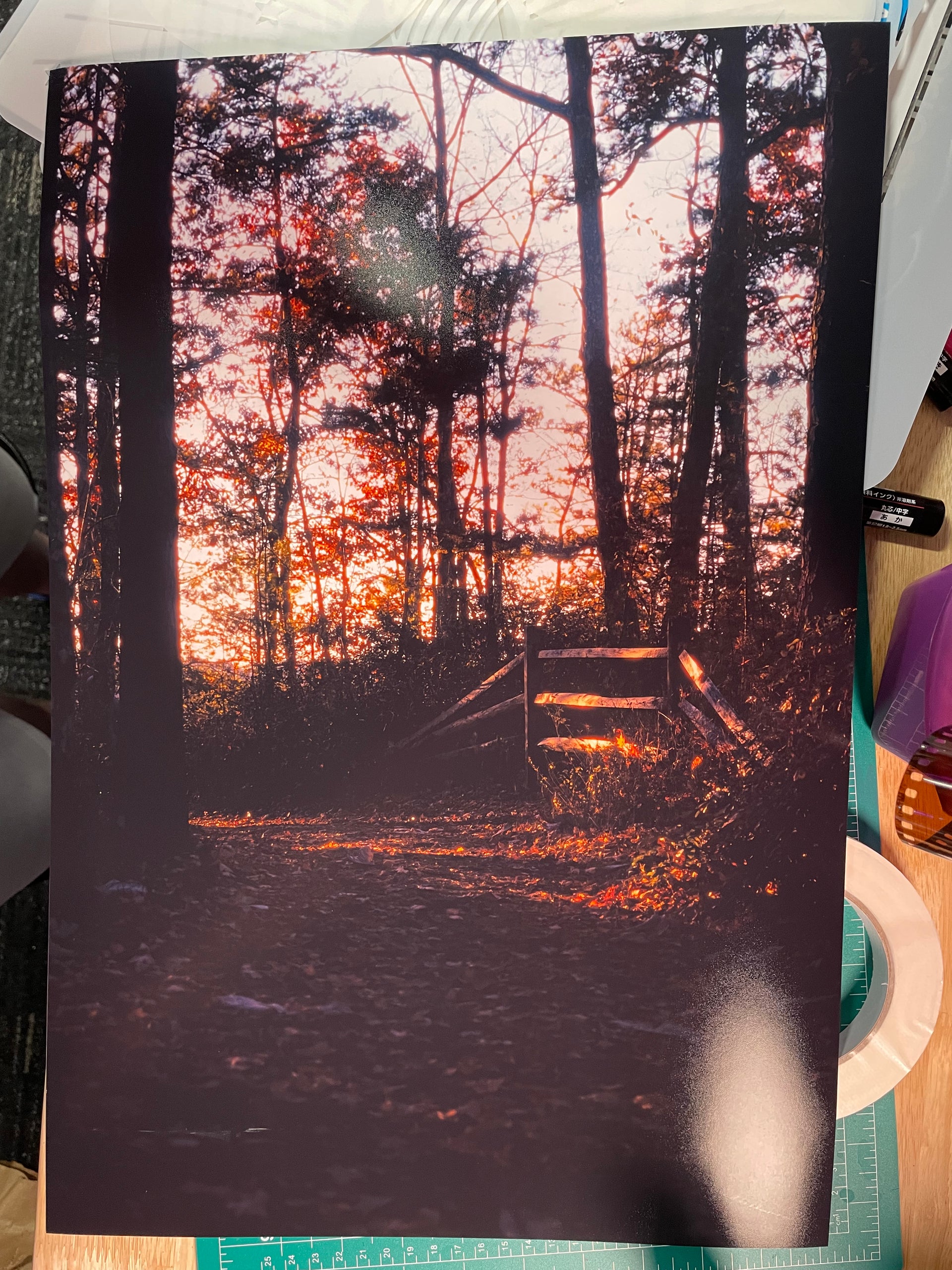 Photo Print - Autumn's Boundary