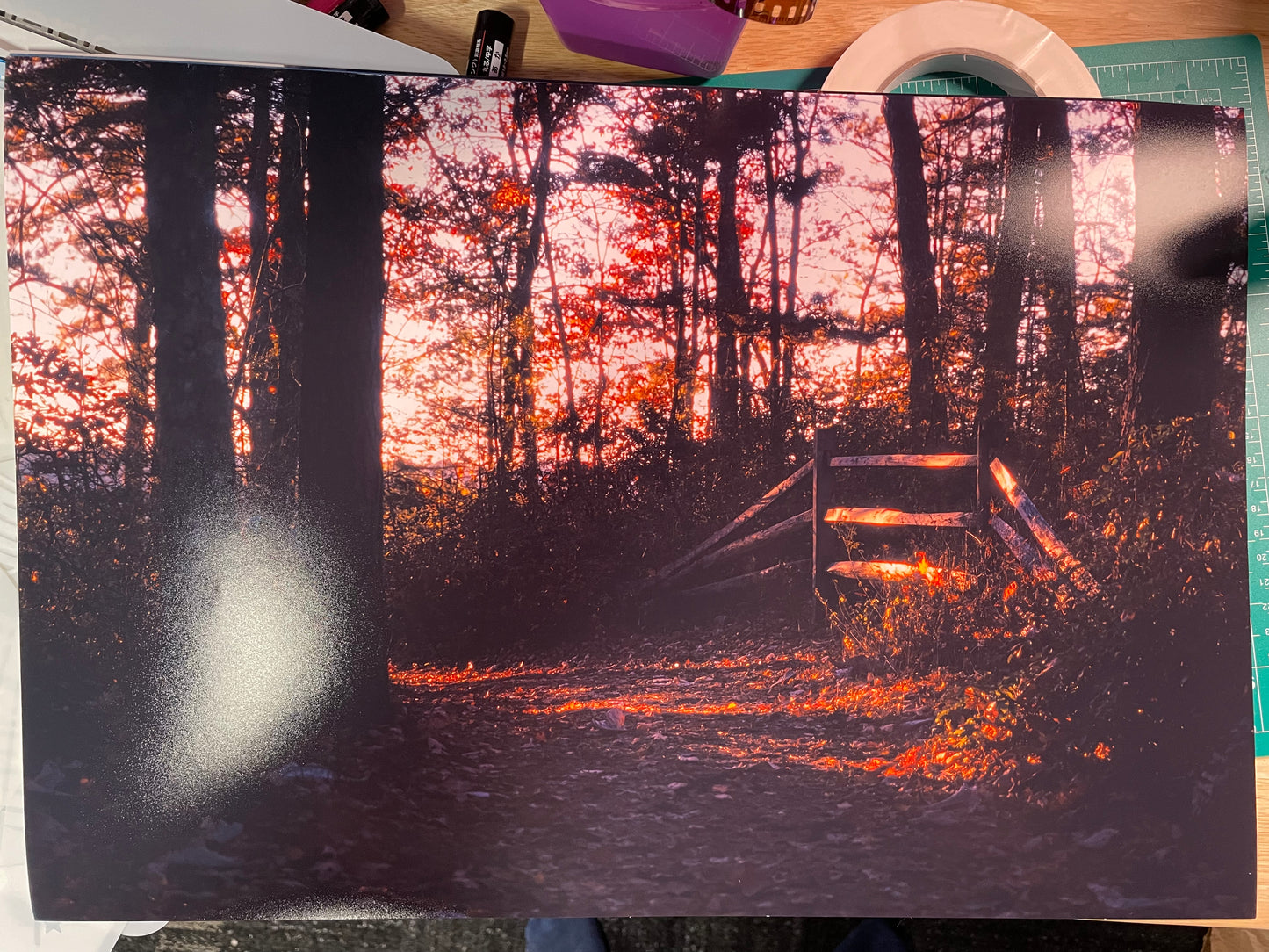 Photo Print - Rounding the Bend