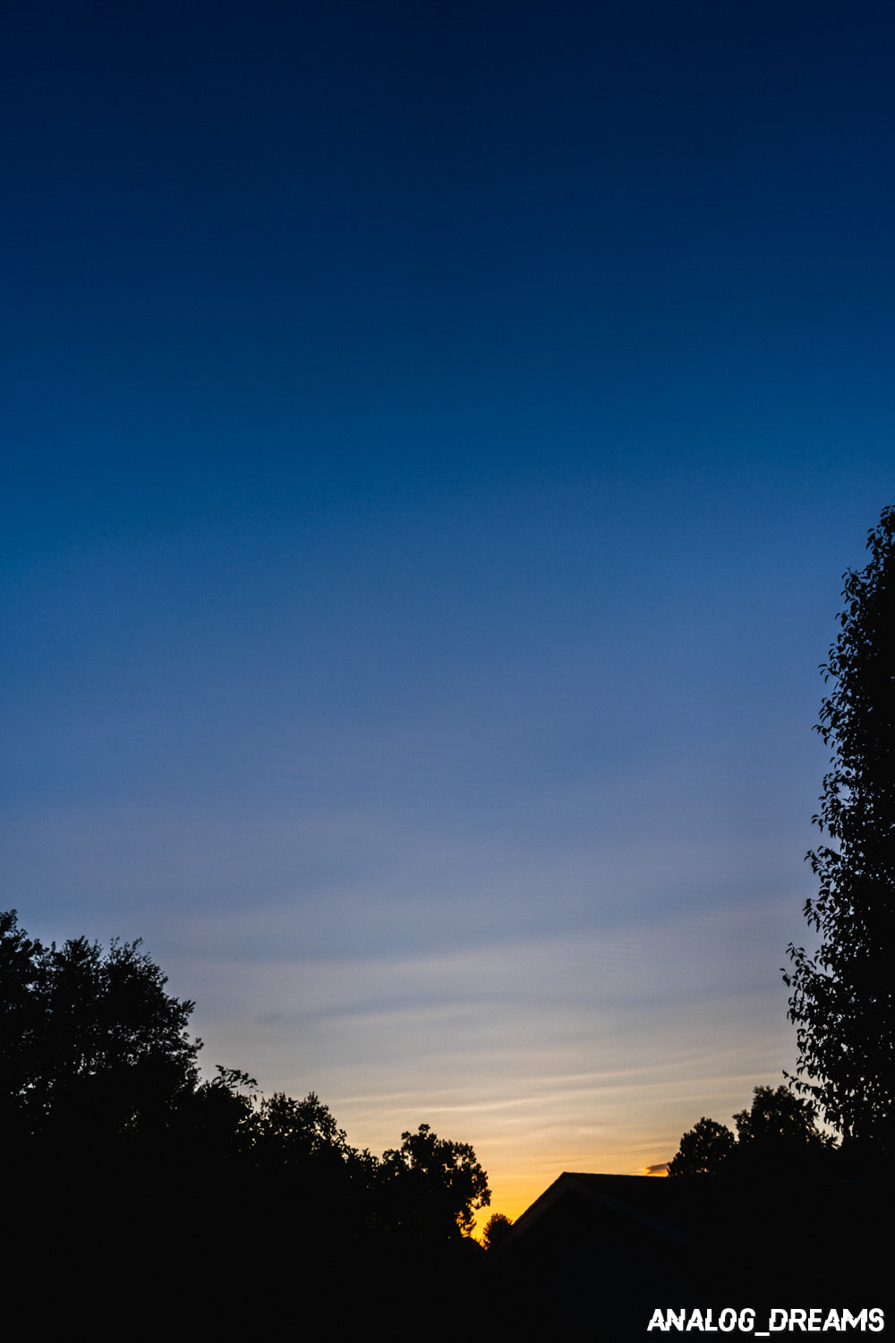 Memory Mix - Capture One Style Pack