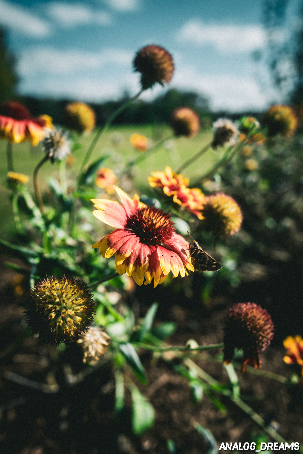 Memory Mix - Lightroom Classic Preset Pack