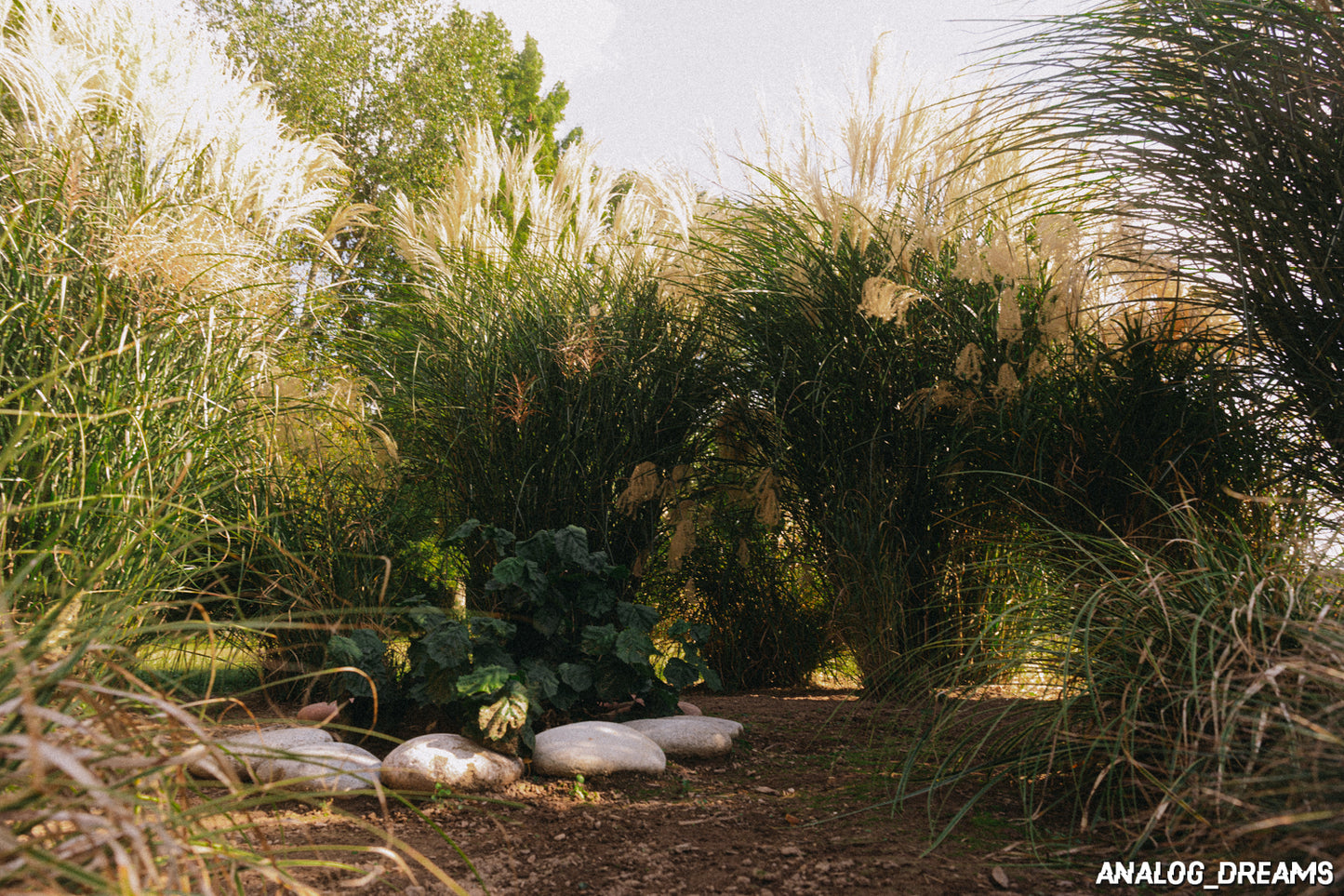 Memory Mix - Lightroom Classic Preset Pack