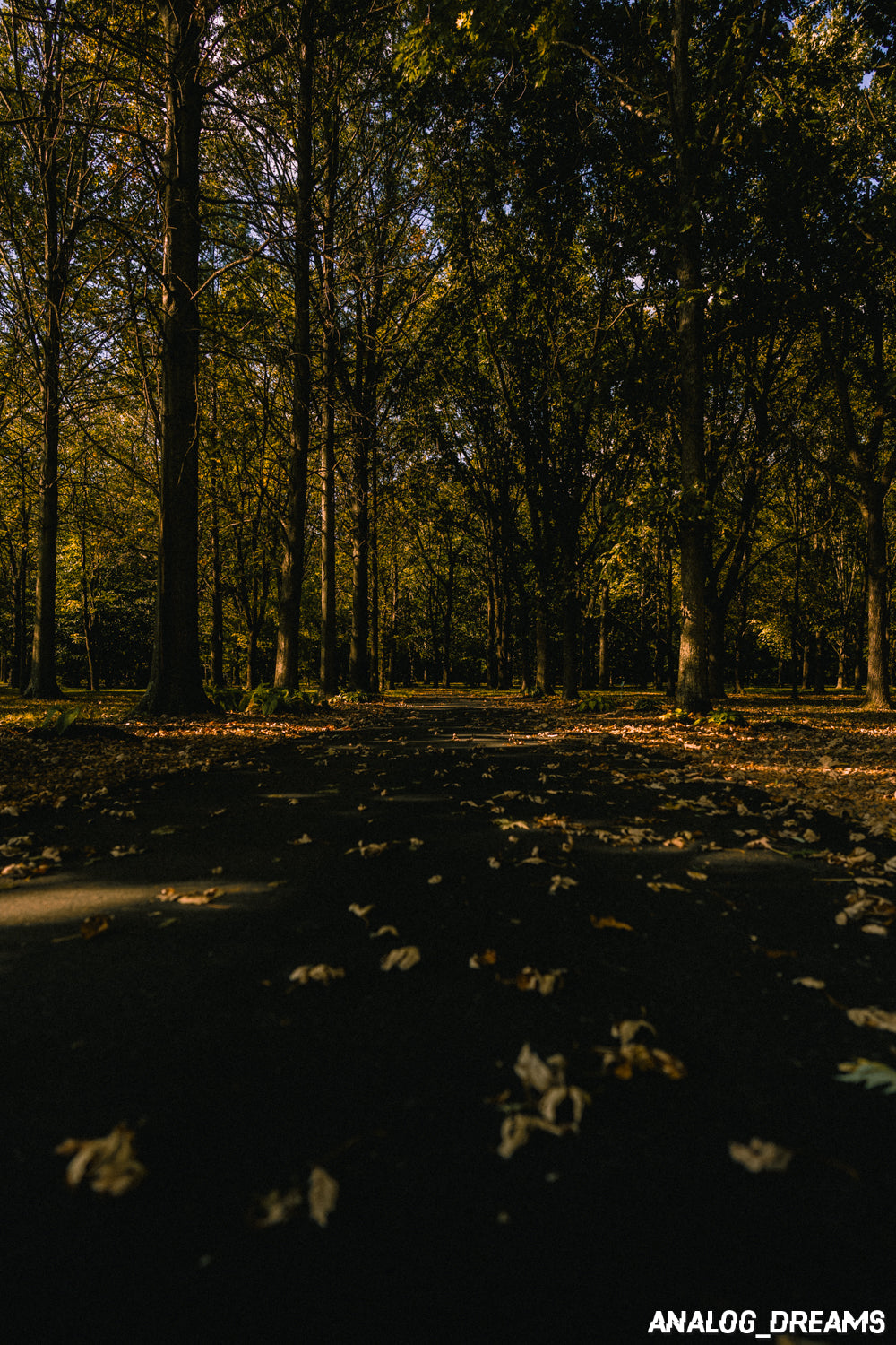 Memory Mix - Lightroom Classic Preset Pack