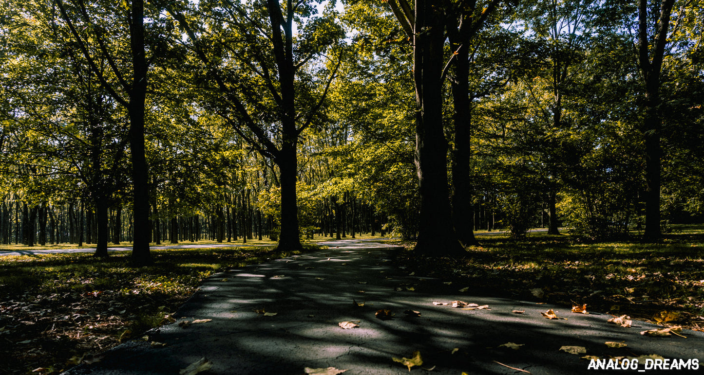 Memory Mix - Capture One Style Pack