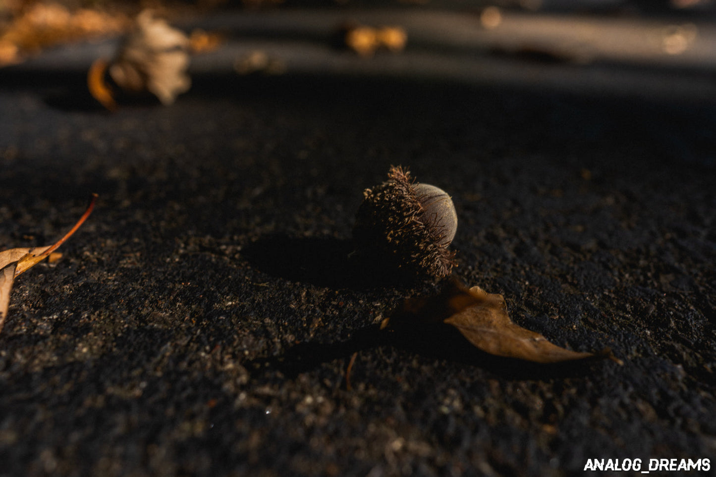 Memory Mix - Capture One Style Pack