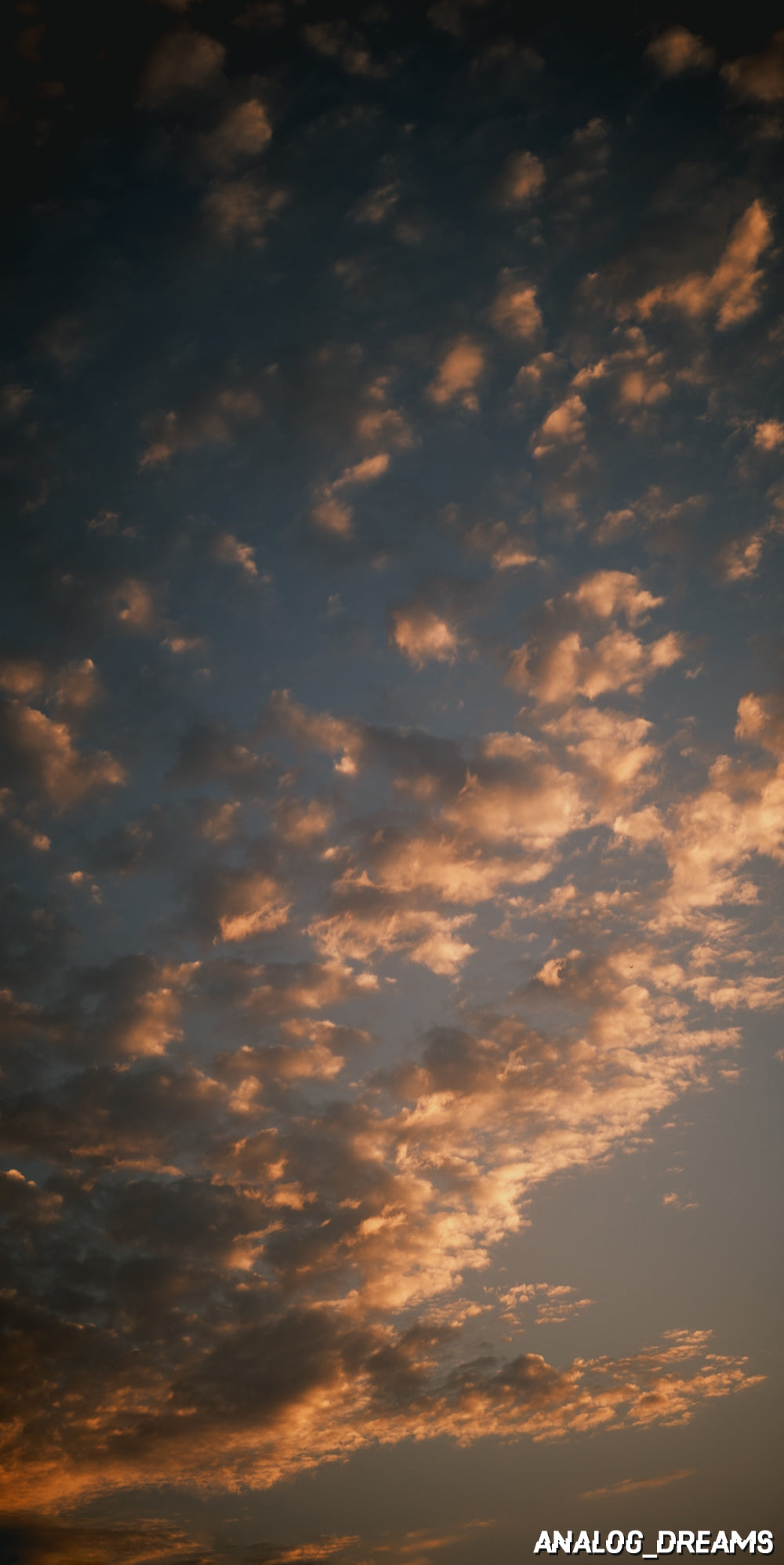 Memory Mix - Capture One Style Pack