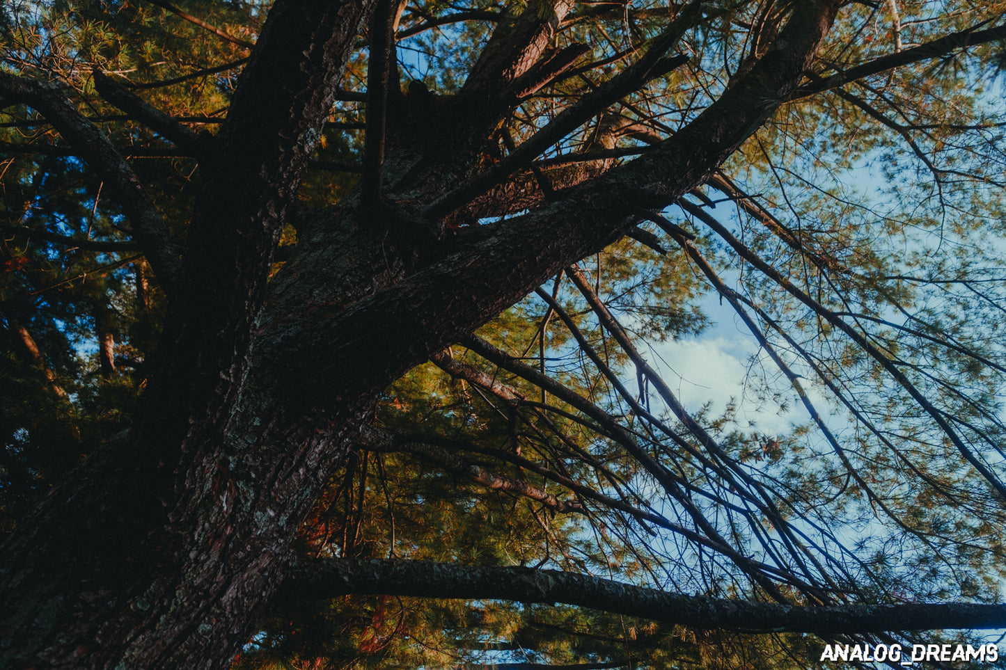 Memory Mix - Lightroom Classic Preset Pack