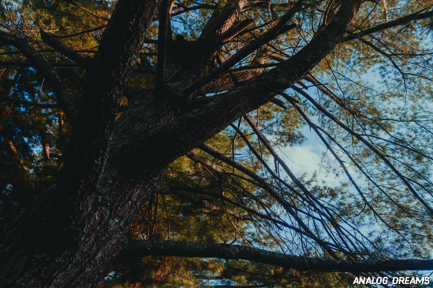 Memory Mix - Capture One Style Pack