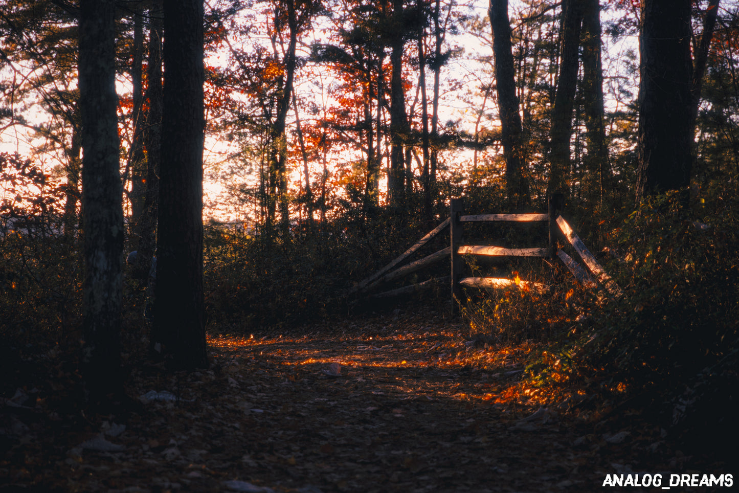 Photo Print - Rounding the Bend
