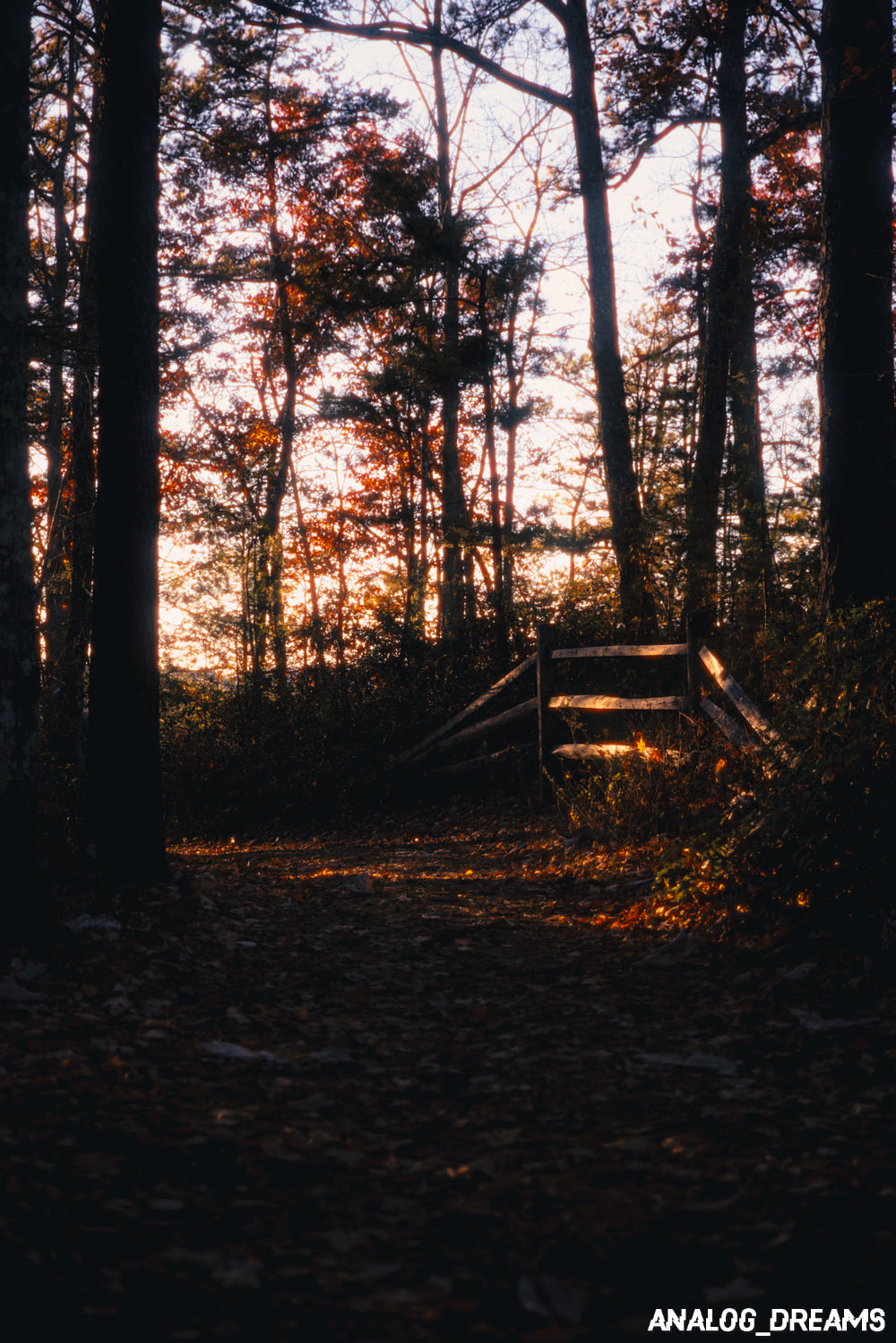 Photo Print - Autumn's Boundary