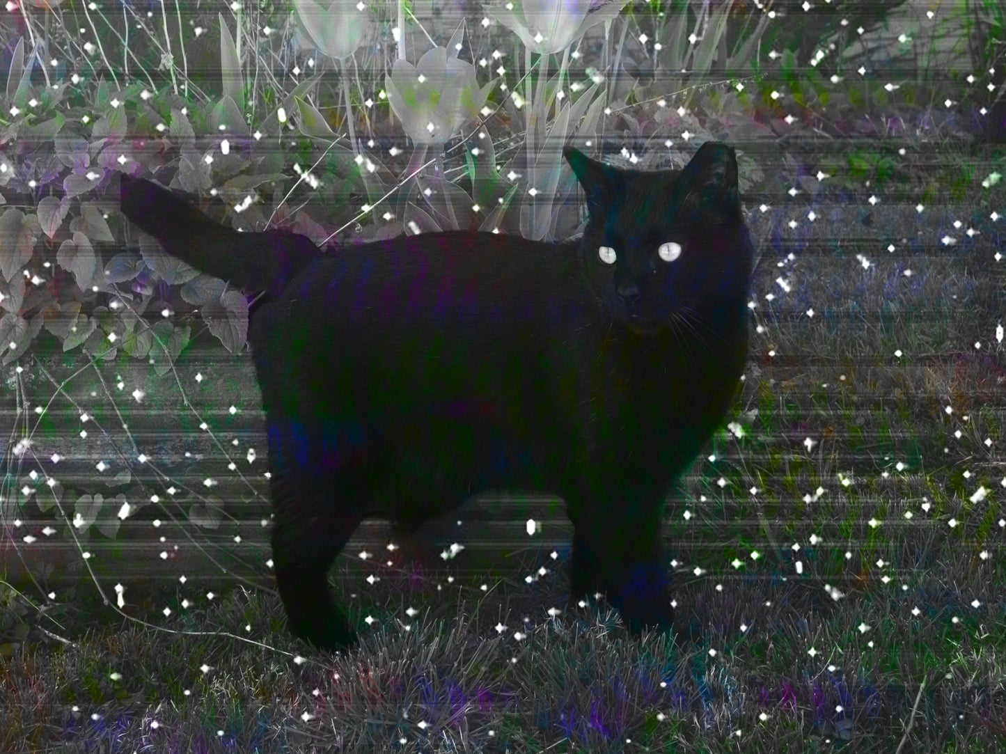 VHS Texture Pack - Destroy Your Still Images!