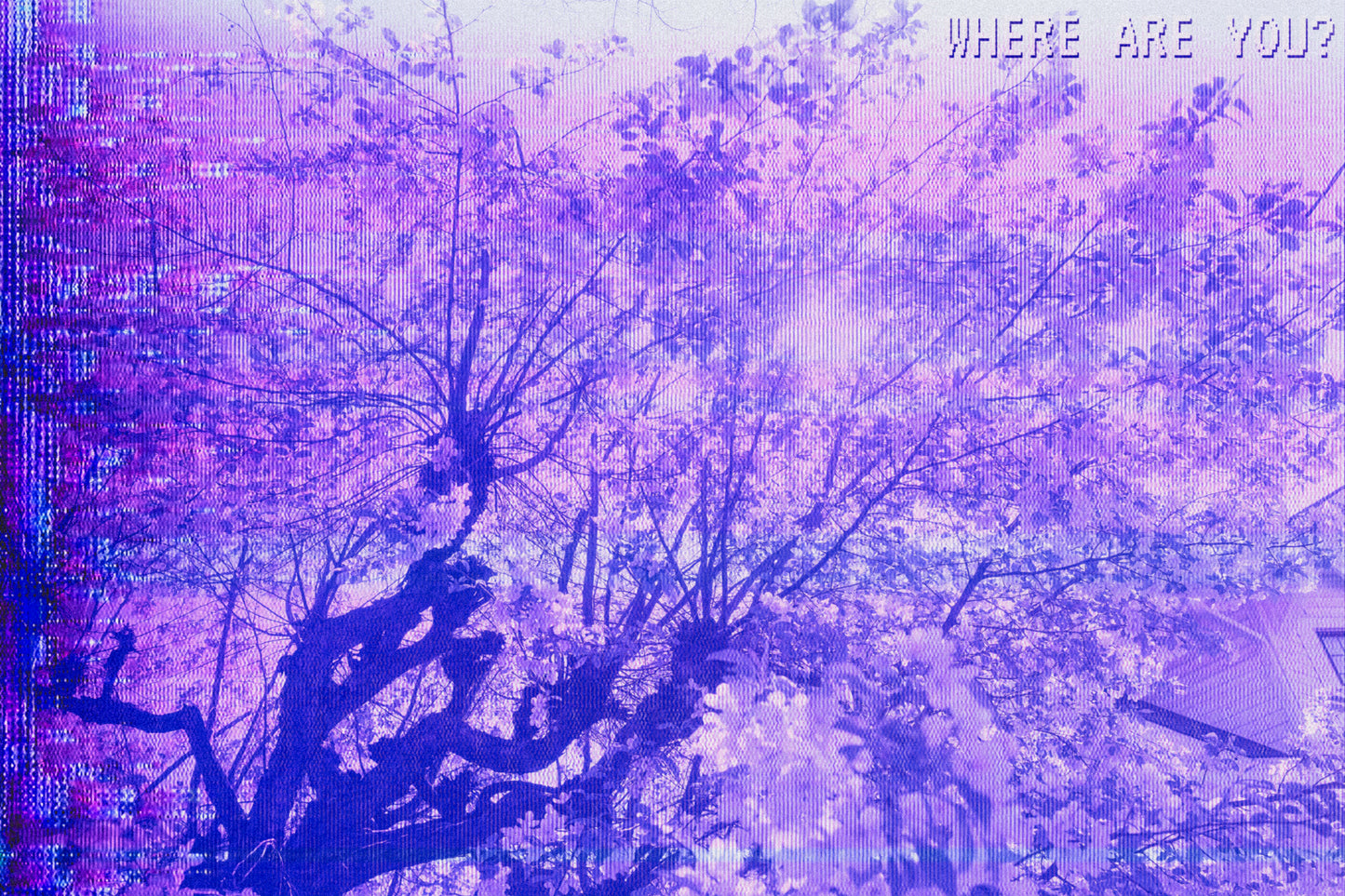 VHS Texture Pack - Destroy Your Still Images!