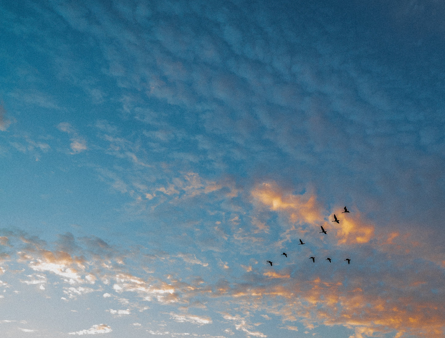 Photo Print - Retreat