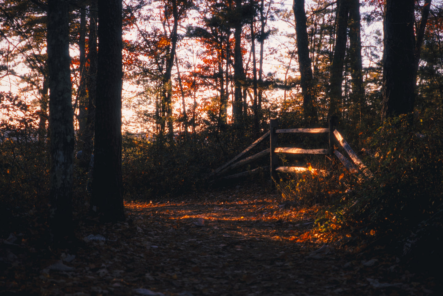 Photo Print - Rounding the Bend
