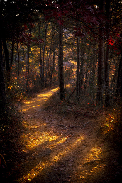 Photo Print - Spirits Resting