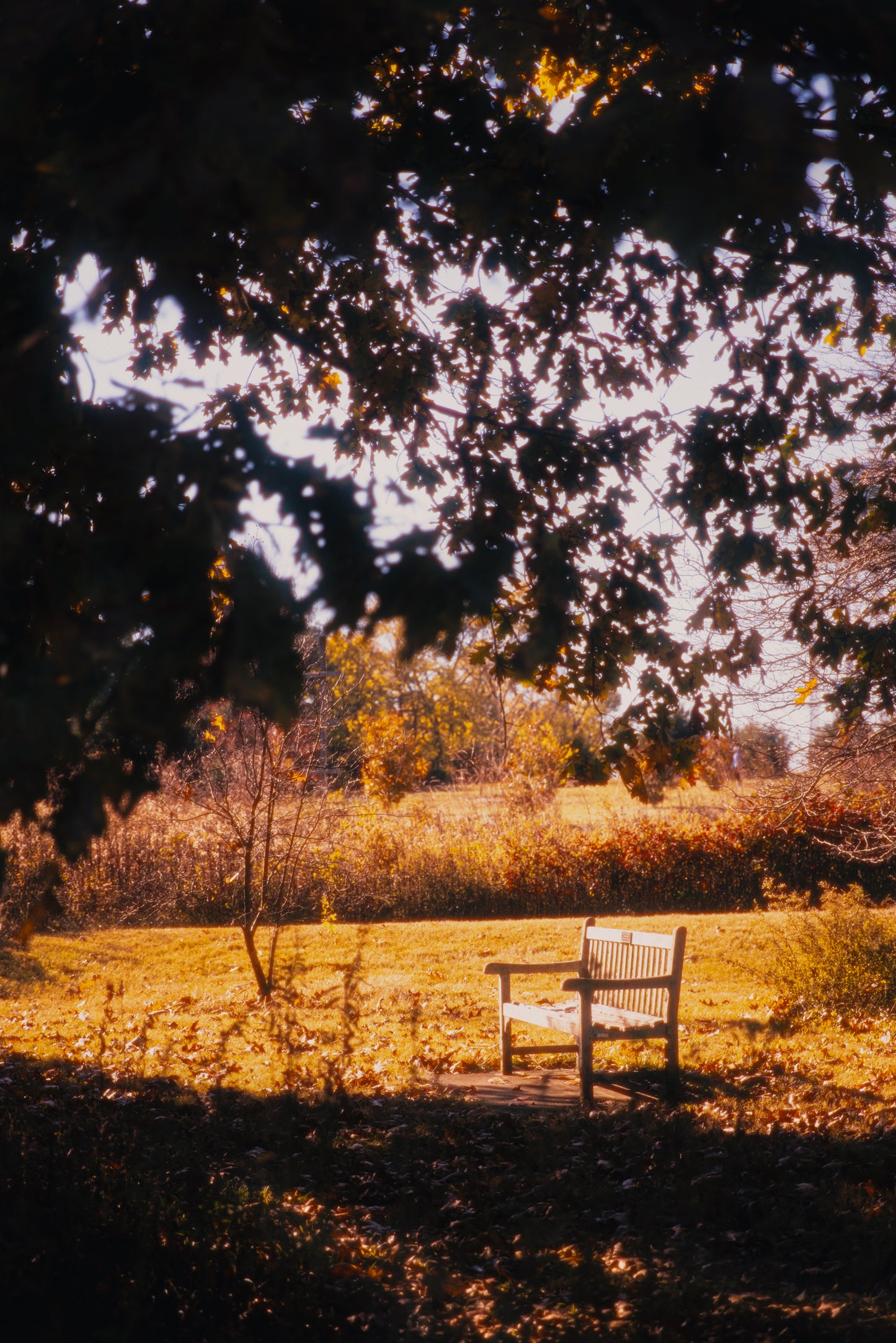 Photo Print - Where You Were